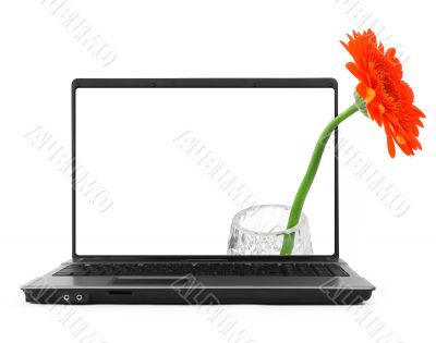 notebook with a flower