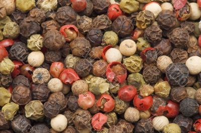 colored pepper macro