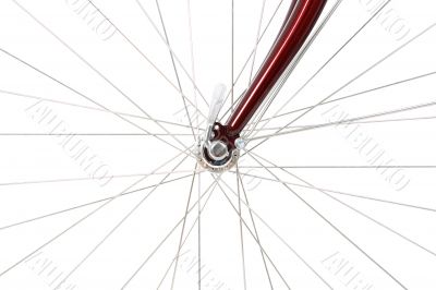 Spokes of a front bicycle wheel