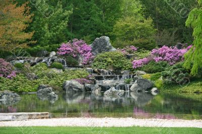 Flowering Japanese garden