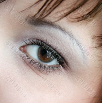 Eye Eye