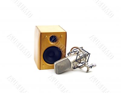 speaker and microphone