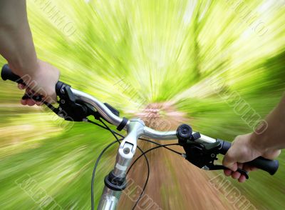 Mountain biking in the forest