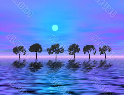 Evening Evening