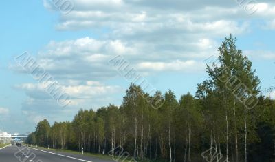 Road among woods Road among woods