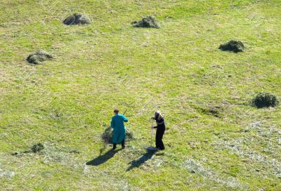 Two people clean a grass