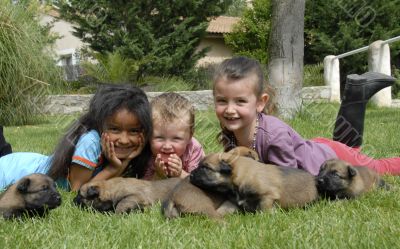 children and puppies