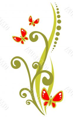 plant and butterflies plant and butterflies