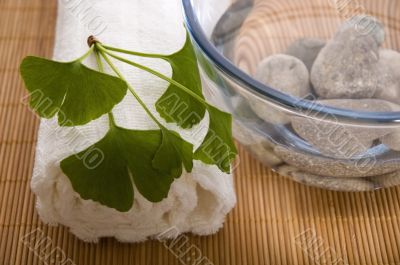 alternative medicine. ginkgo biloba therapy