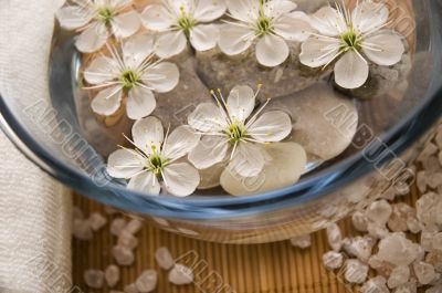 white wellness products white wellness products