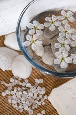 white wellness products