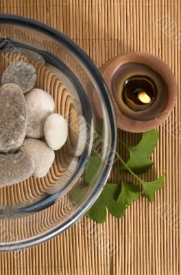 alternative medicine. ginkgo biloba therapy