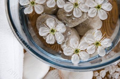 white wellness products white wellness products