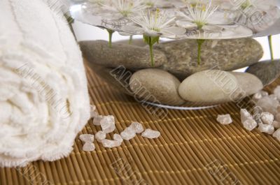 white wellness products