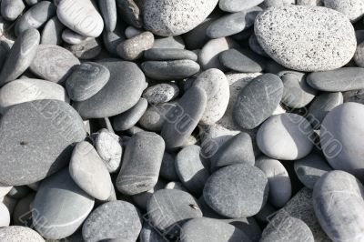 beach of rocks