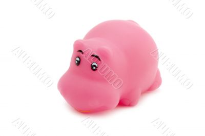 hippopotamus toy