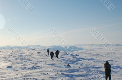 north pole walk
