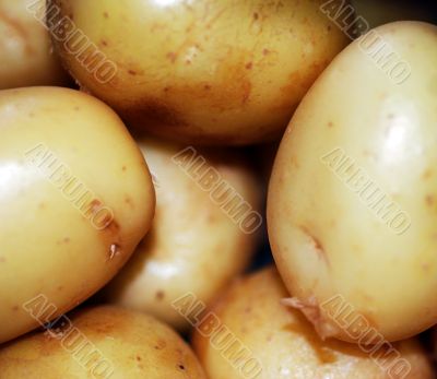 Pile of Potatoes