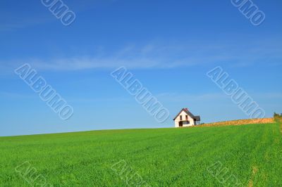 little house in grass field