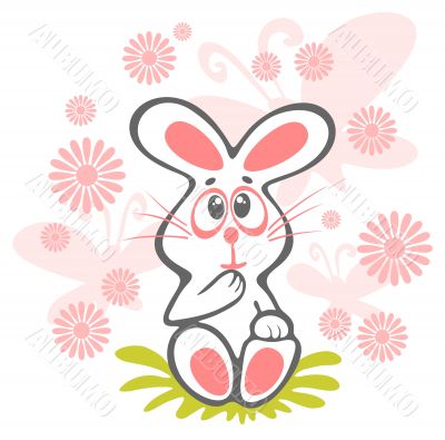 cartoon rabbit cartoon rabbit