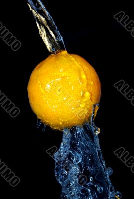 tangerine freshness motion in cold  water