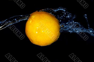tangerine freshness motion in cold  water