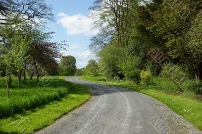 Small road in park