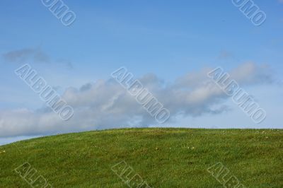 Green grass and blue sky