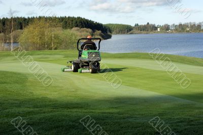 Cut grasses in golf cours