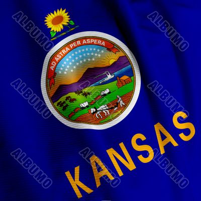 Kansas Flag Closeup