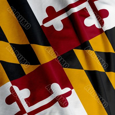 Maryland Flag Closeup