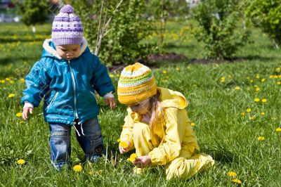 Gathering of dandelions on a glade