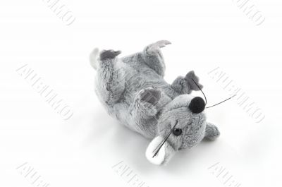 grey toy mouse