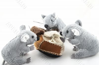 Mousy investigating a fur boot
