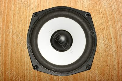 Speaker