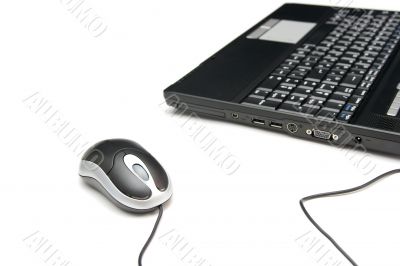 Mouse