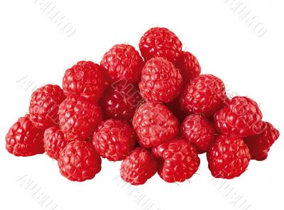 Appetite raspberry