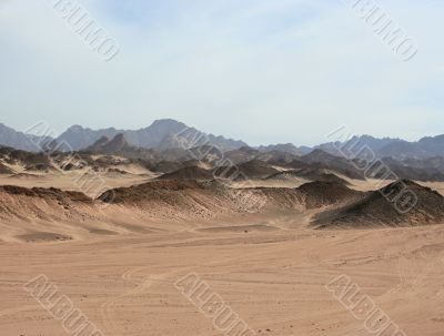safari desert