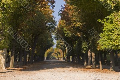Schoenbrunn Palace Park, Vienna