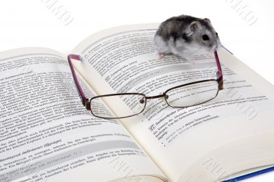 Mouse reads