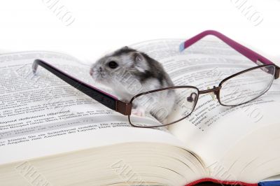Mouse reads