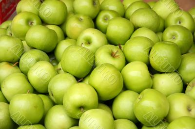 Pile of green apples
