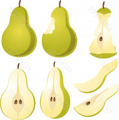 Pear Illustration