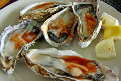 Raw oysters