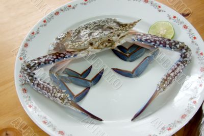 Fresh crab