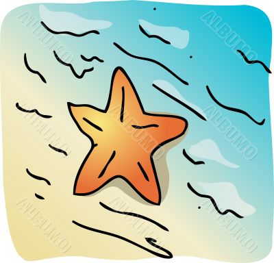 Starfish beach