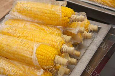 Corn on the cob