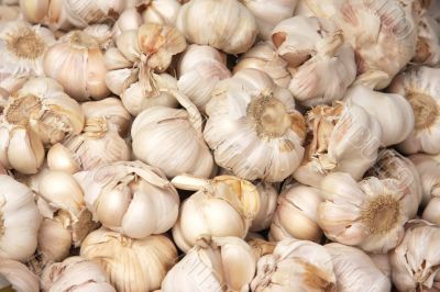 Whole garlic