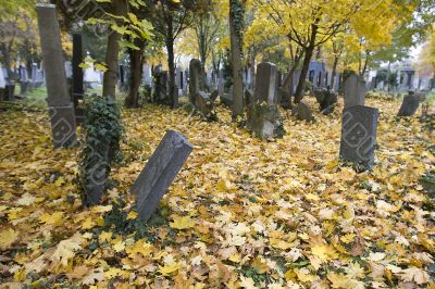 Jewish Cemetery, Vienna