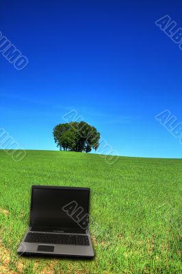 serene grassland and a notebook